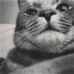 just another dance mix