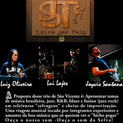 Selva Jam Trio - Sex In A Pan (versão acústica).