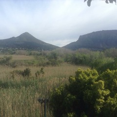 MachineVision - Sleep