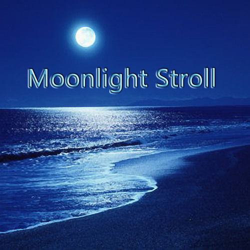 Moonlight Stroll - Milana With Ray McGinnis