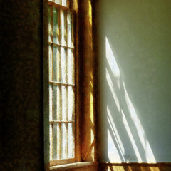 In Languid Sunlight and Gentle Umber Shade