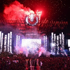 Steve Angello at Ultra Japan 2014 (Tokyo) - 27.09.2014