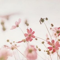 사랑을 말하다.