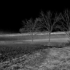 Experimental Horror Piece