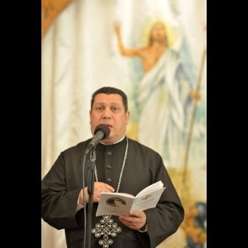 Gospel Reading by Ibrahim Ayad - Coptic Diocese of the Netherlands