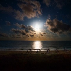 Moonlight Stroll - Milana with Lisbon Soul (W Lyrics)