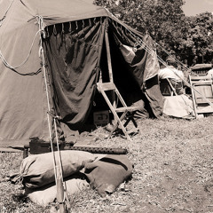 WE HAVE BEEN WARNED #JUNGLEWARZ (response to BC RYDAH)