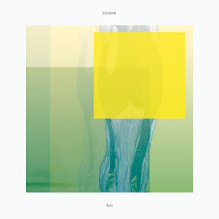 Solvane feat. Knixx - Run On The House