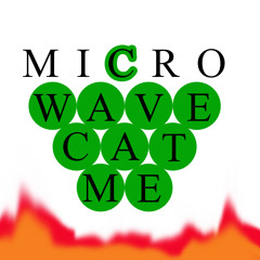 Micro.Wave.Cat.Me