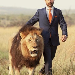 Hängematte - Palme wedeln