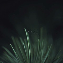 Nukua - Scalers thesis