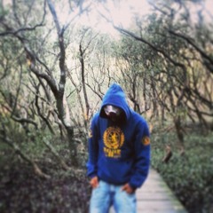 Fariginal - Real Eye's Realize Real Lies