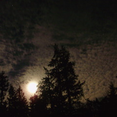 In Memory OF Lord Infamous (prod. By Progress)