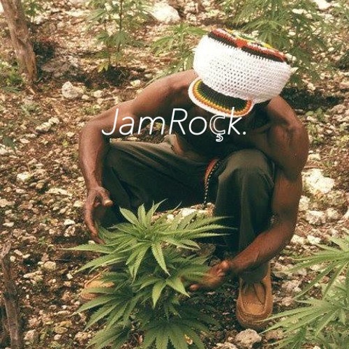 JamRoçk.