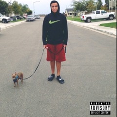 Dolla Gang my whole Life