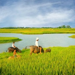 Giấc Mơ Em Kể - Hà Thế Dũng (demo)