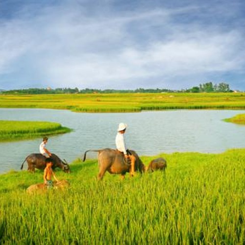 Giấc Mơ Em Kể - Hà Thế Dũng (demo)