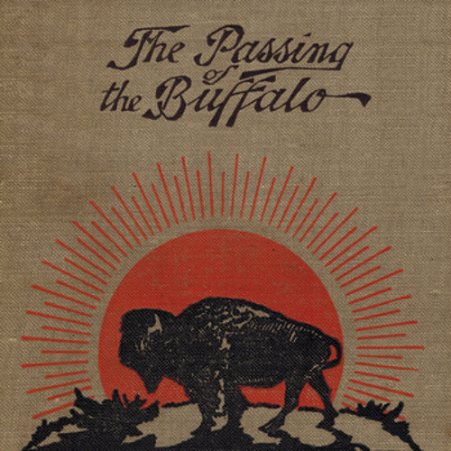 Interview | Andrew Sisk on The Passing of the Buffalo