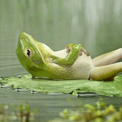 chill