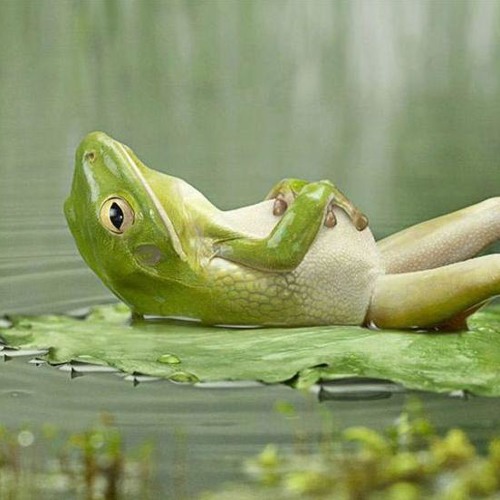 chill