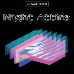 Software Blonde - Busy Signal