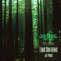 Jay Prince- Long Run (Mozaic remix)