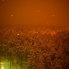Galun - Snowfall // "Solitude"