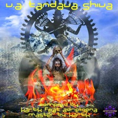 6 - Adrieligena & Kartik & Phantom Center -  Tandava Shiva 115 - 140 Bpm