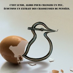 Les chasseuses de pensées - de quoi faire rêver