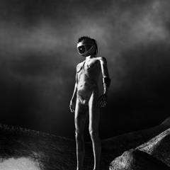 Τώρα ή Ποτέ