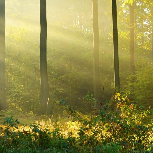 Infinite Shades of Light by John Tyler - Piano Solos and Sheet Music at LDSPianoHymns.com