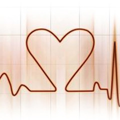 Calvin Harris - Dada Life - Feed The Dada  Remix Jhonathan Silva