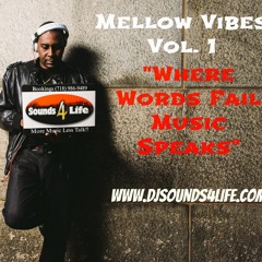 DJ Sounds 4 Life Mellow Vibes Vol 1
