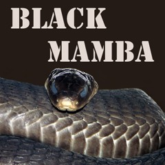 Black Mamba - Gabriele Galloni (Original Mix)
