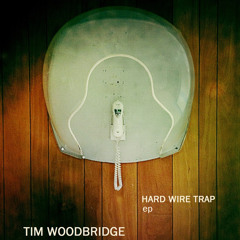 TIM WOODBRIDGE - Less Is Less
