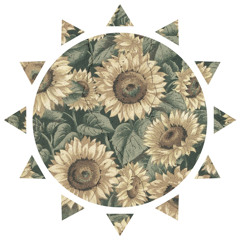 David Guetta & Avicii - Sunshine (Dropwizz Festival Trap Remix)