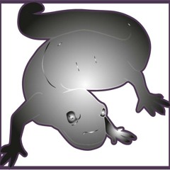 Salamander
