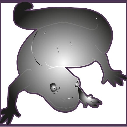 Salamander