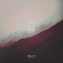 Sir Sly - You Haunt Me (Salda Remix)