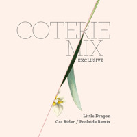 Little Dragon - Cat Rider (Poolside Remix)