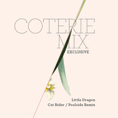 Little Dragon - "Cat Rider (Poolside Remix)"