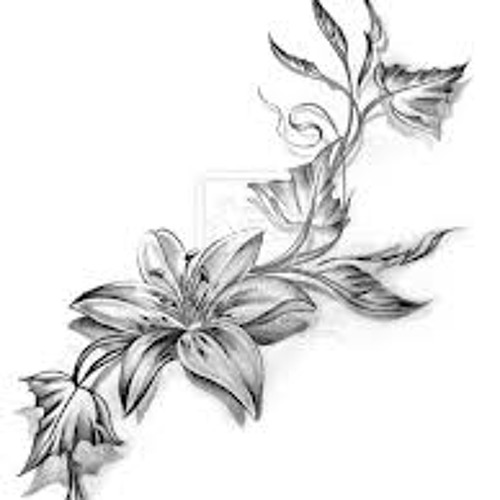 Cache Deluxe - Mi Alegria