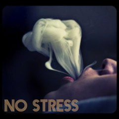 No Stress Ft. Cheeky (Prod. By Peet)