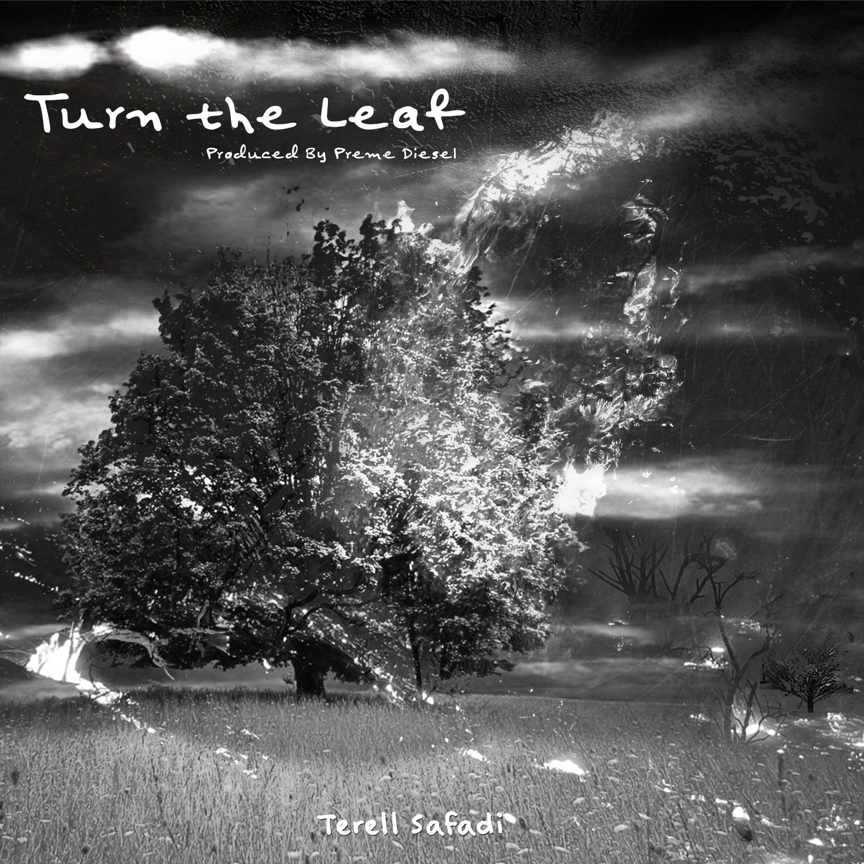 Turn The Leaf episode artwork