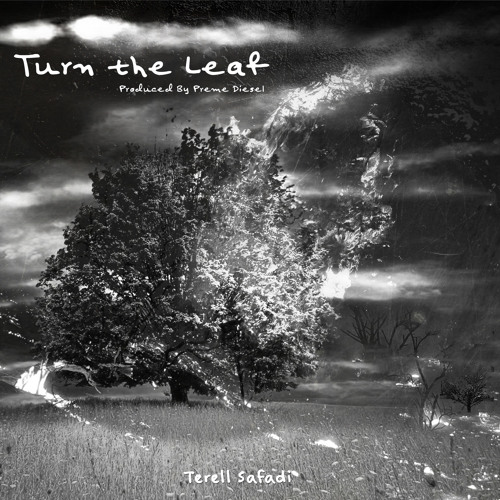 Turn The Leaf