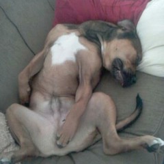 AO - Breaking Swag Instrumental Beat