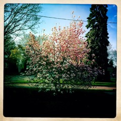 02 This Ain't The Life