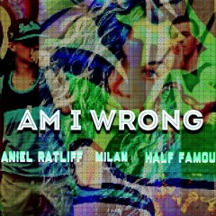 Am I Wrong ft. MILAN & Half Famous
