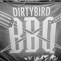 Live At Dirtybird BBQ Toronto 09 07 2014