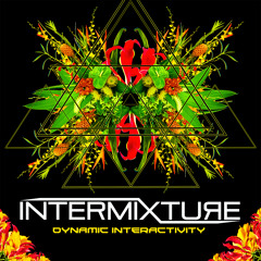 Intermixture - A Greater Reality [Dynamic Interactivity] (Street Ritual Records Debut Album)